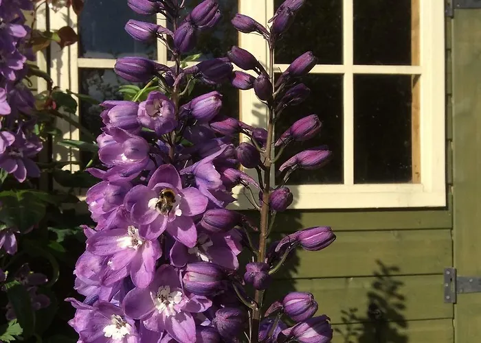 Pomona Bed & Breakfast 4*